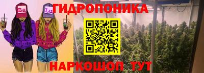 скорость Шебекино