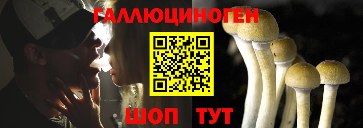 Галлюциногенные грибы мицелий Воскресенск